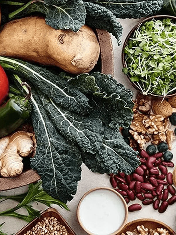 How your gut health affects your weight